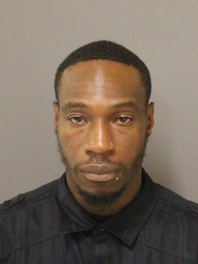  KADAREION OVAREIUS LOWE Photo Image