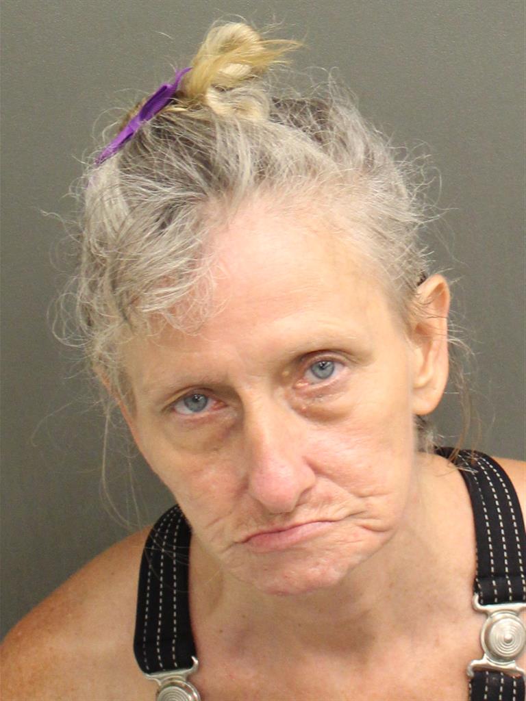  MICHELLE DAWN LOWE Mugshot / County Arrests / Orange County Arrests