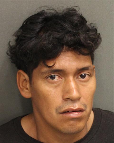  ANGEL ARISTIDES CASTANEDAORELLA Mugshot / County Arrests / Orange County Arrests