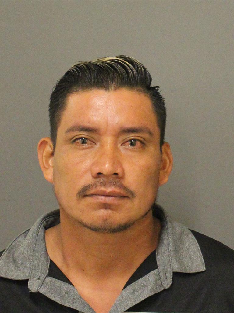  FELIPE DEJES ALDAIR CASTILLORAMIREZ Mugshot / County Arrests / Orange County Arrests