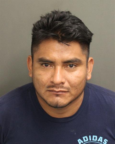  JAIRON RAIREZDOMINGO Mugshot / County Arrests / Orange County Arrests