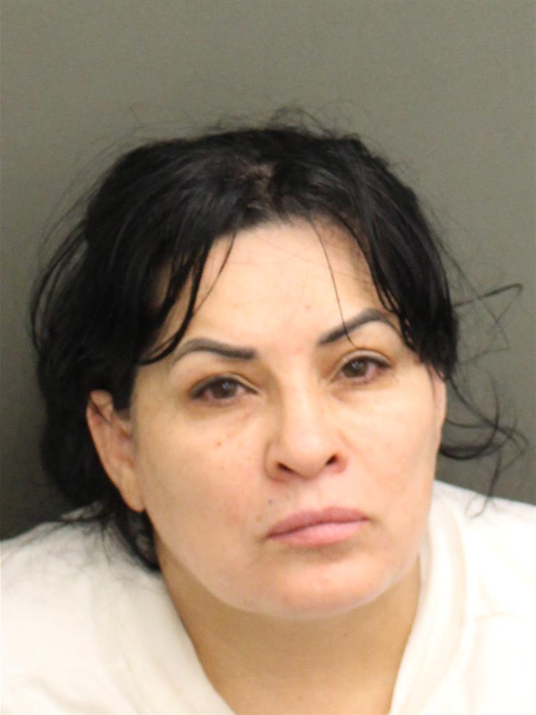  YOLANDA CRUZSANTIAGO Mugshot / County Arrests / Orange County Arrests