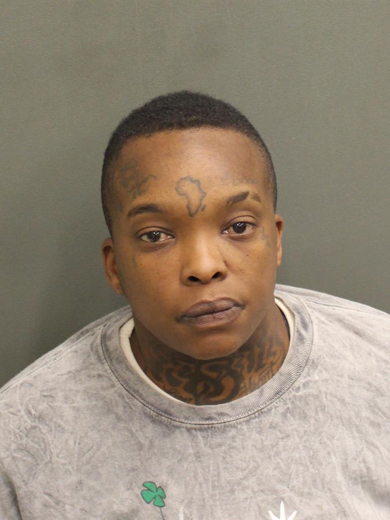  JARCALYNN LERTE MARTINEZRIDEAU Mugshot / County Arrests / Orange County Arrests