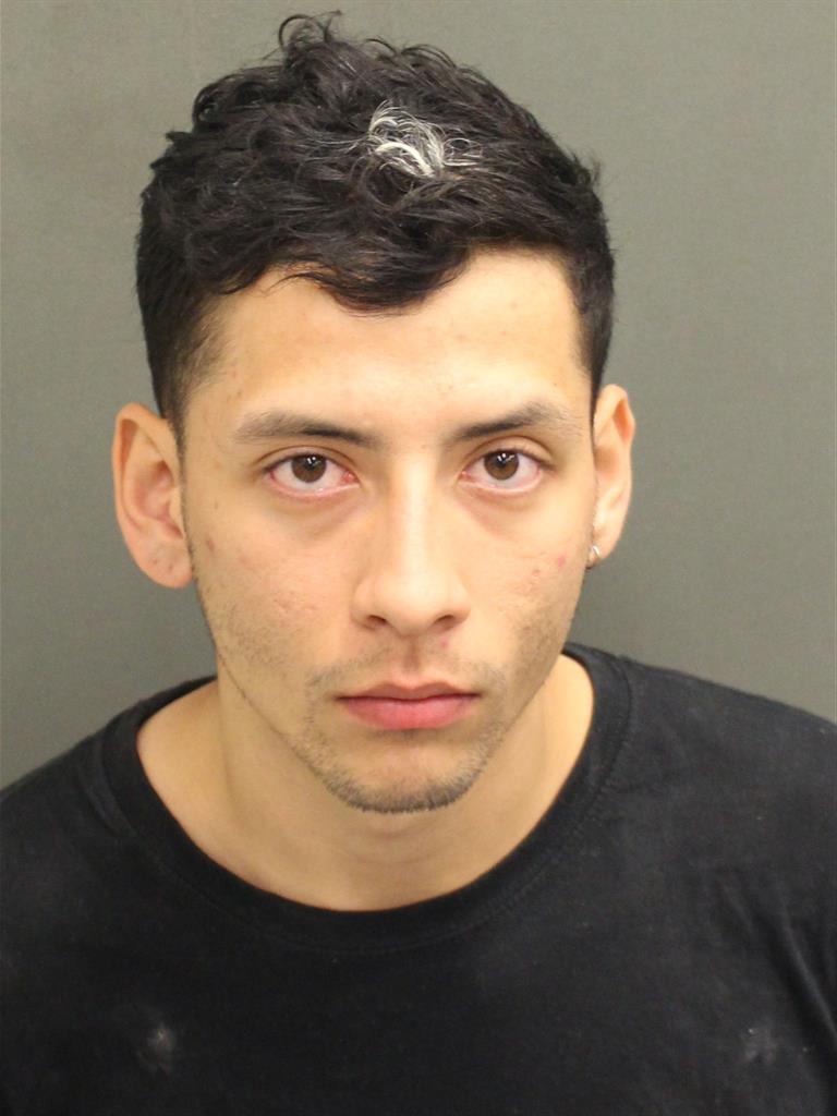  HUGO ESTEBAN ORTIZPEREZ Mugshot / County Arrests / Orange County Arrests