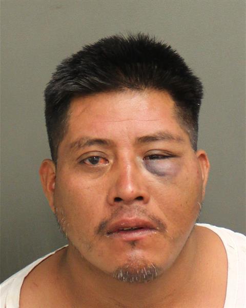  DAMIAN AVILEZ Photo Image