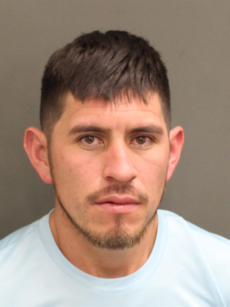  DANY ANTONIO FLORESSOTO Mugshot / County Arrests / Orange County Arrests
