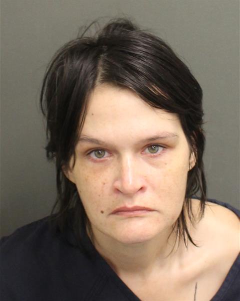  MELISSA SUE HODGE Mugshot / County Arrests / Orange County Arrests