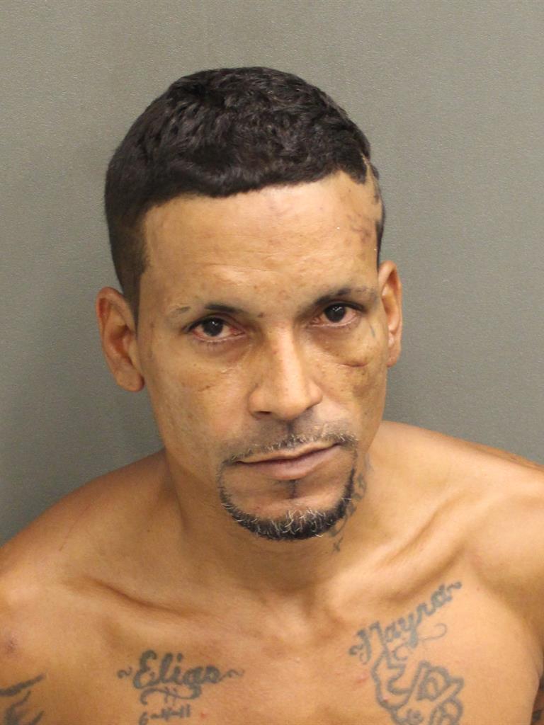  LUIS ANTONIO ORTIZSANTOS Mugshot / County Arrests / Orange County Arrests