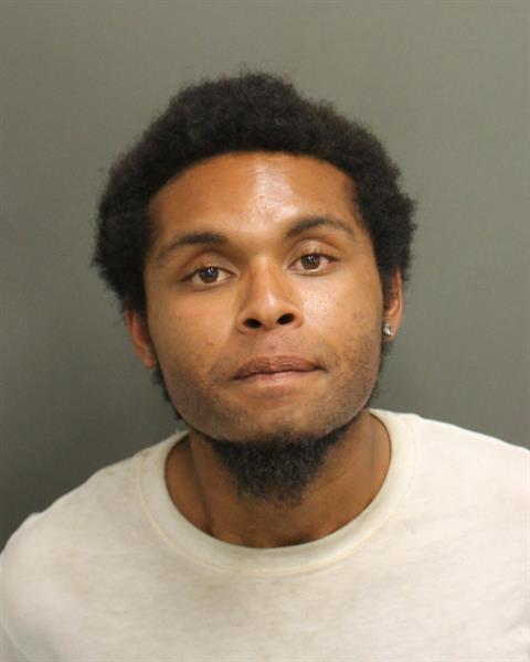  DAVID ALEXANDER ROSEN Photo Image