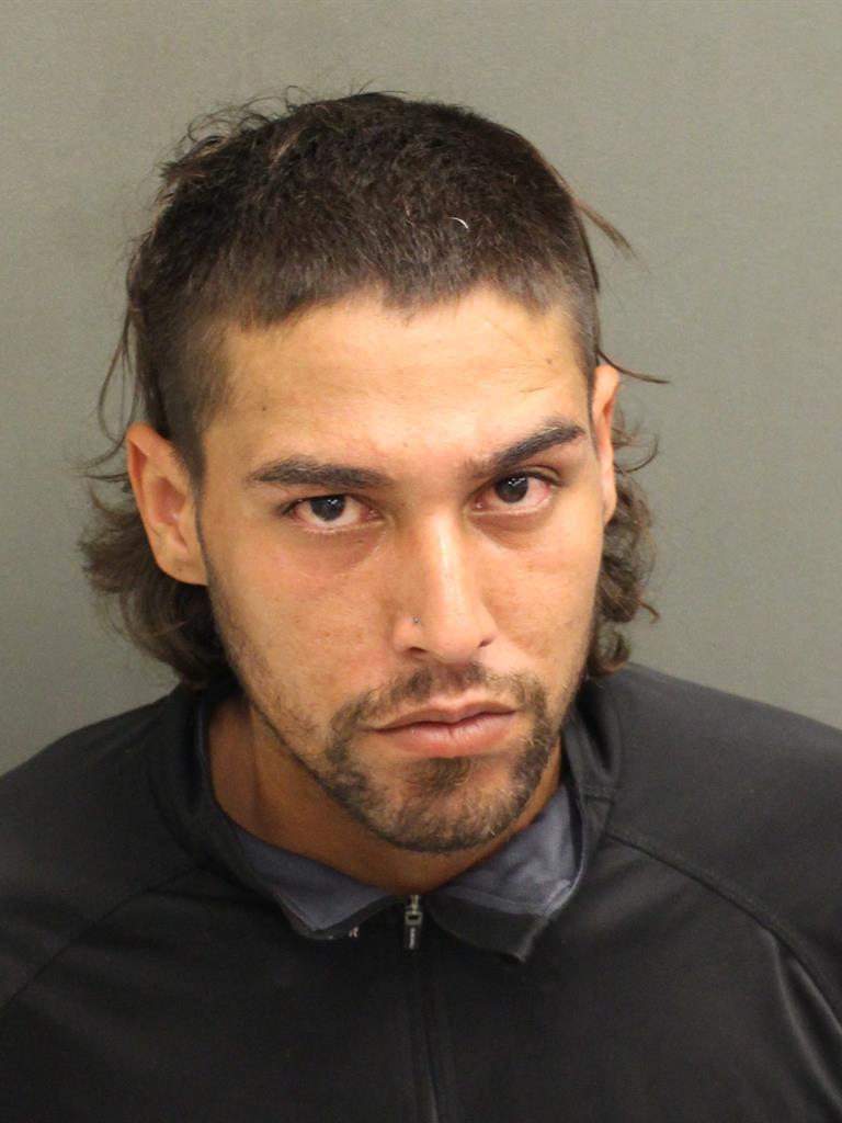  OLIVER PUIG Mugshot / County Arrests / Orange County Arrests