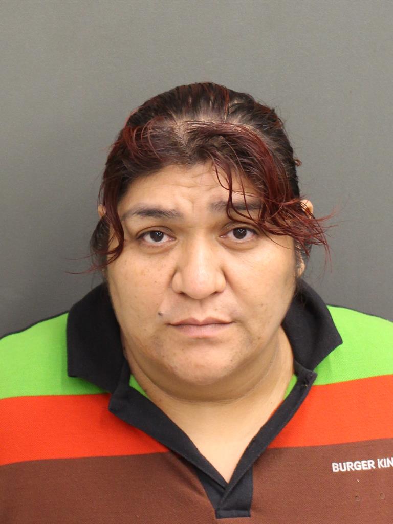  AURORA DELOSAN ALATRISTEG Mugshot / County Arrests / Orange County Arrests