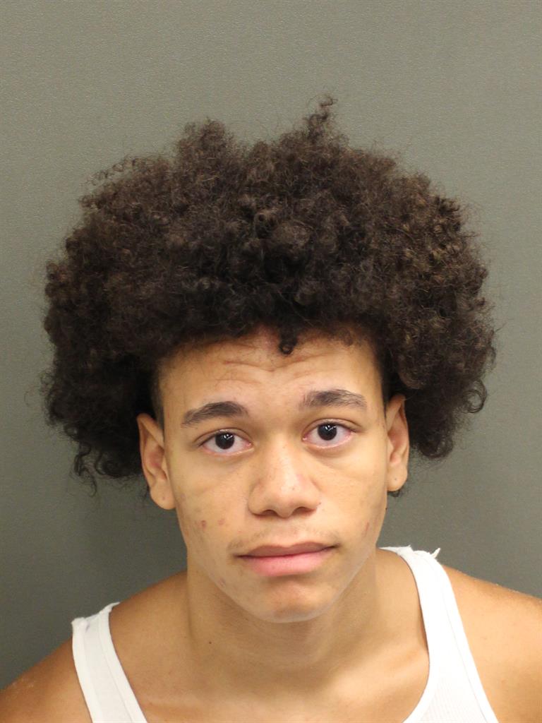  TAVION JORDAN CALABRO Mugshot / County Arrests / Orange County Arrests