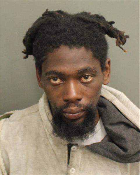  DANA DEWAYNE II BROWN Mugshot / County Arrests / Orange County Arrests