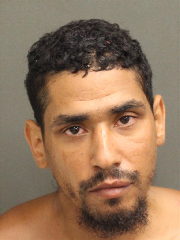  LUIS ALBERTO RIVERA Mugshot / County Arrests / Orange County Arrests