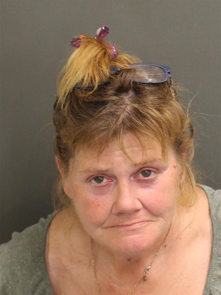  LISA DAWN EARNHART Mugshot / County Arrests / Orange County Arrests