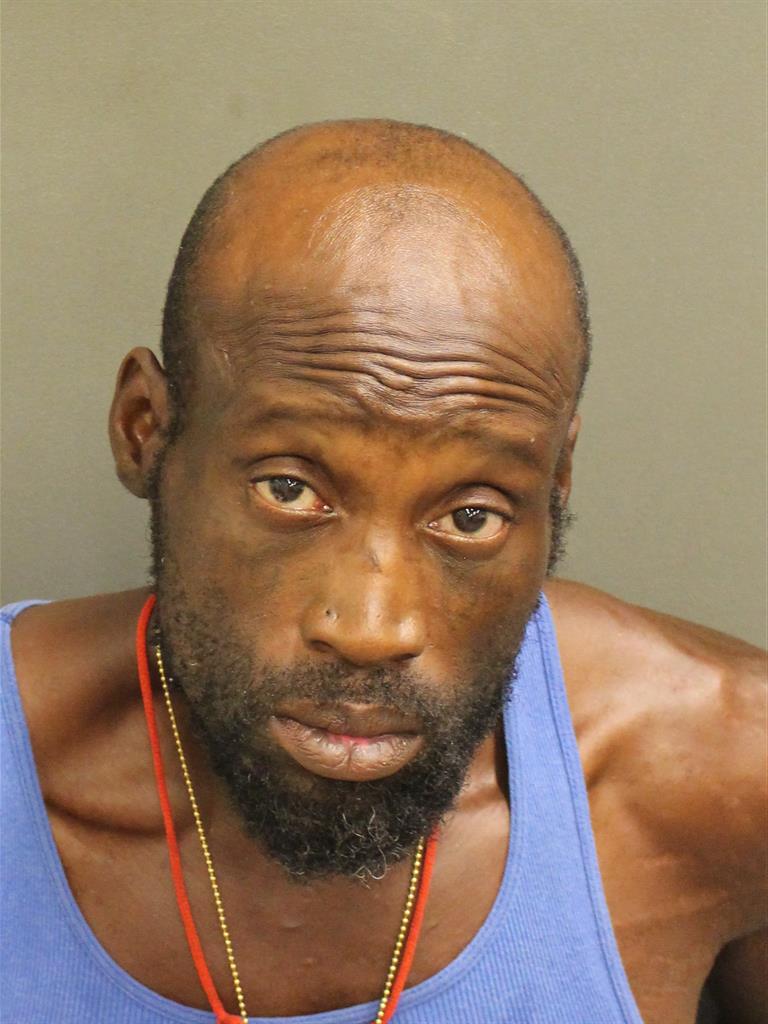  JERMAINE DAMM HAMILTON Mugshot / County Arrests / Orange County Arrests