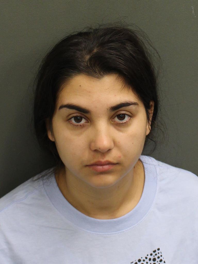  ELENA AGADA MICLESCU Mugshot / County Arrests / Orange County Arrests