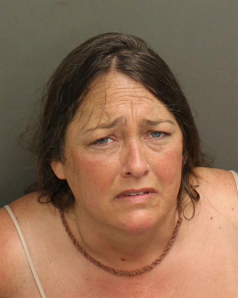 DEANNA RACHEL SELLERS Mugshot / County Arrests / Orange County Arrests