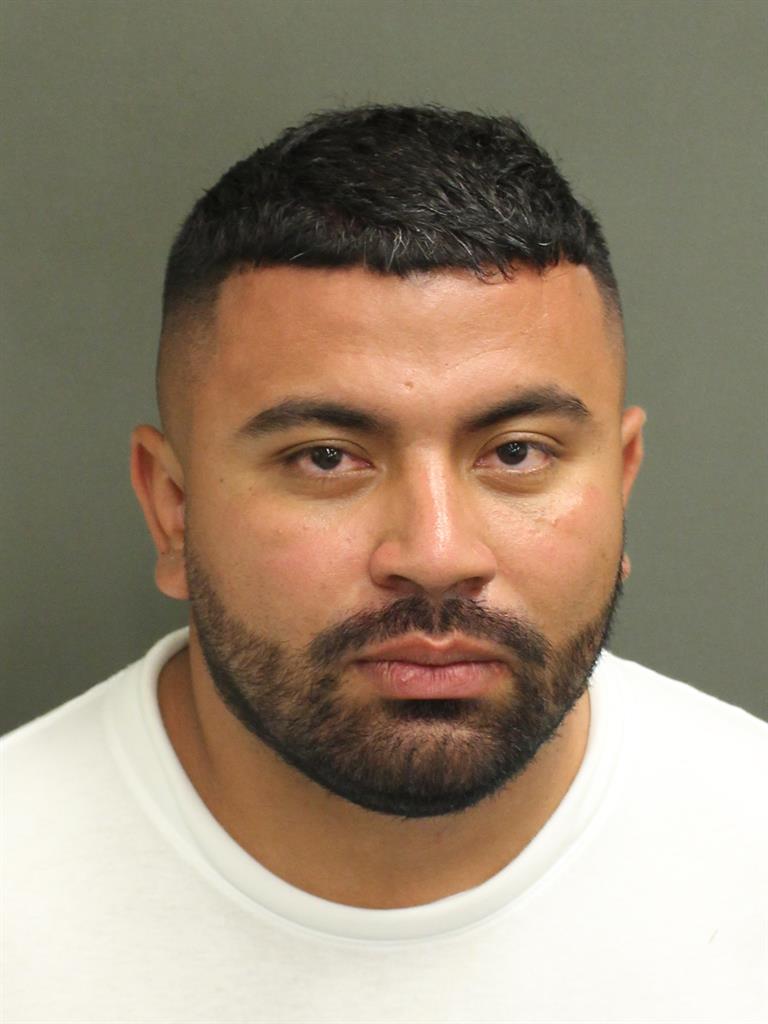  SANITAGO ZULETALAVERDE Mugshot / County Arrests / Orange County Arrests