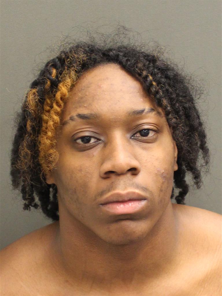 DJORDAN LAMAR WHITE Mugshot DJORDAN LAMAR WHITE Mugshot / County Arrests / Orange County Arrests
