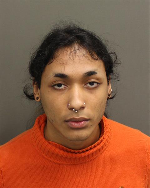  DAMIAN JOUSAMEDLOIS AMAROSANTOS Mugshot / County Arrests / Orange County Arrests