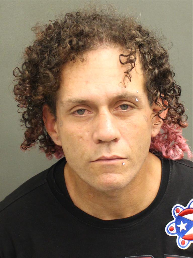  RAMON AYENDE NOVOA Mugshot / County Arrests / Orange County Arrests