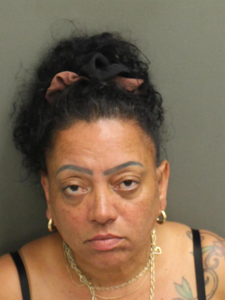  ELIZABETH LEBRON FELICIANO Mugshot / County Arrests / Orange County Arrests