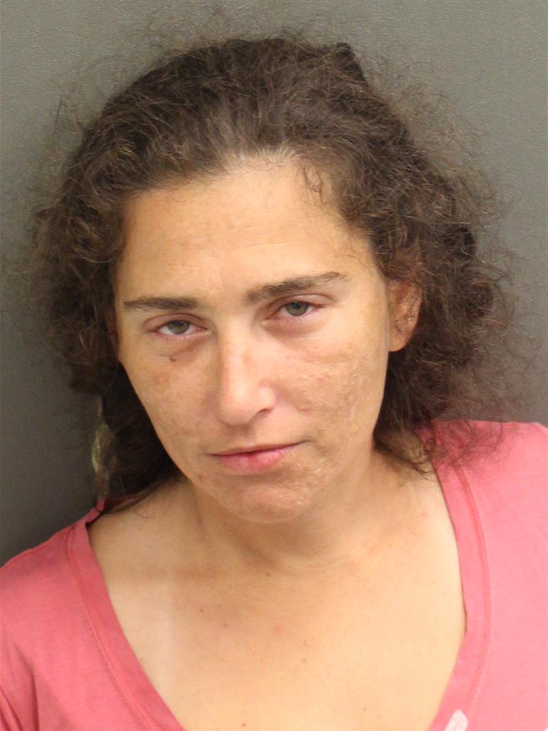  DOROTHY ANN HAMMONDS Mugshot / County Arrests / Orange County Arrests