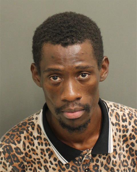  DIEUBON RAPHAEL Mugshot / County Arrests / Orange County Arrests