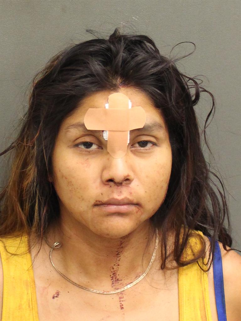  DESHA IONE BEAUTY Mugshot / County Arrests / Orange County Arrests