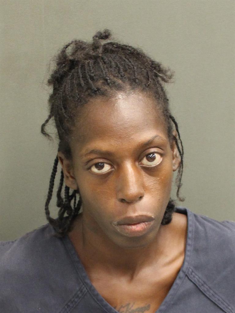  TARA ELIZABETH BREWER Mugshot / County Arrests / Orange County Arrests