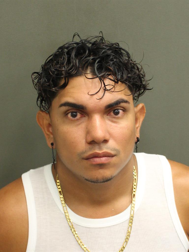  LUIS DAVID CHAVARRIAHERNANDEZ Mugshot / County Arrests / Orange County Arrests