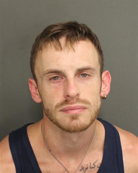  ARTEM DORONIN Mugshot / County Arrests / Orange County Arrests