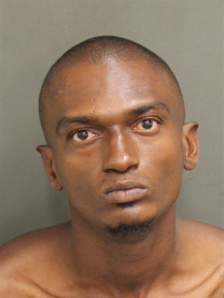  STANLEY MICHEL Mugshot / County Arrests / Orange County Arrests