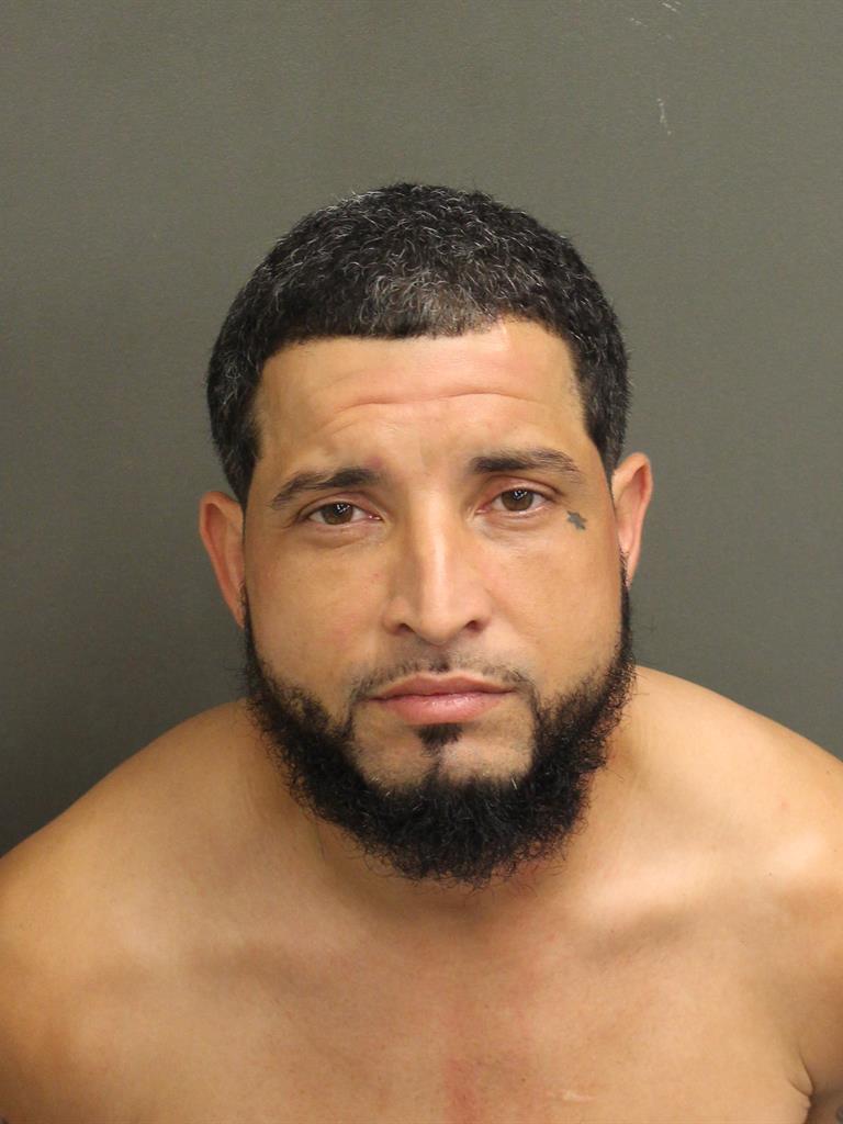  LUIS ANTONIO PAGAN Mugshot / County Arrests / Orange County Arrests
