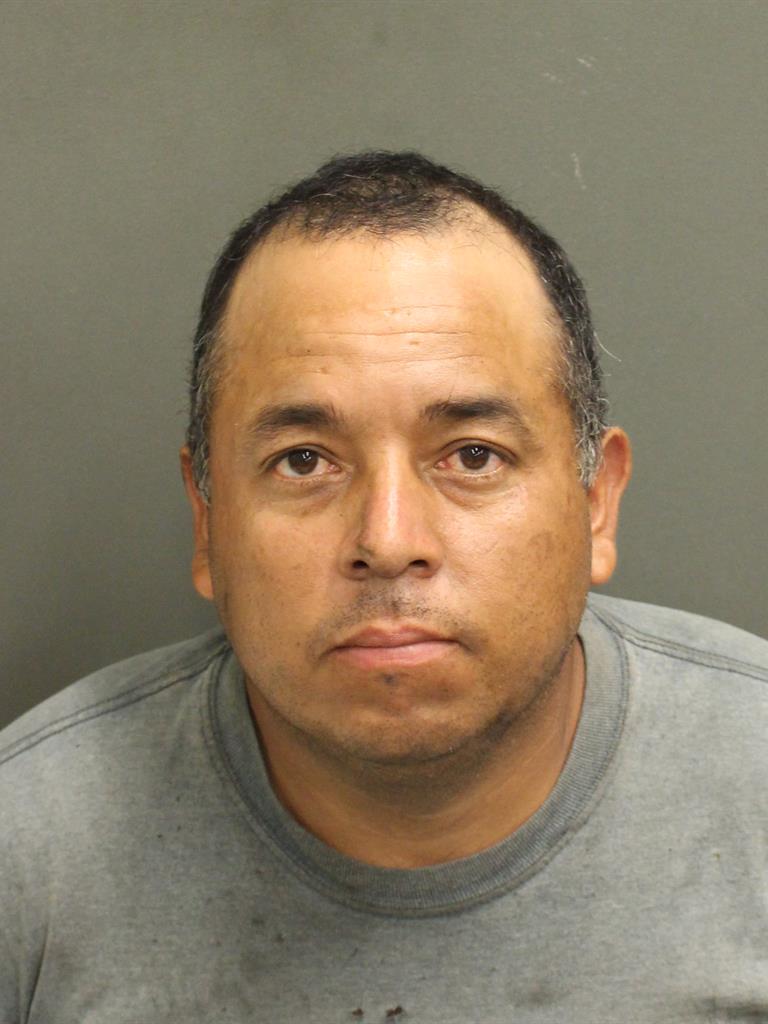  JORGE ALBERTO ALVARADOHERRERA Mugshot / County Arrests / Orange County Arrests