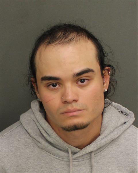  RAYMOND JOEL MALDONADO Mugshot / County Arrests / Orange County Arrests