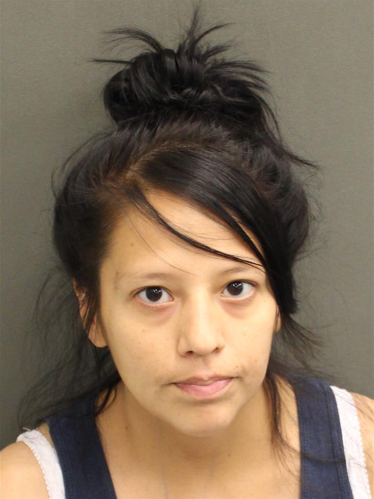  NICOLE HANDBOY Photo Image