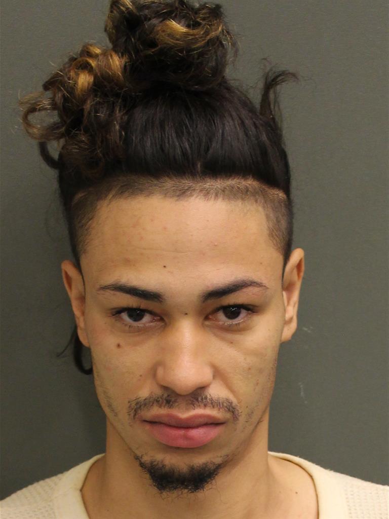 RONAL THENROSARIO Mugshot RONAL THENROSARIO Mugshot / County Arrests / Orange County Arrests