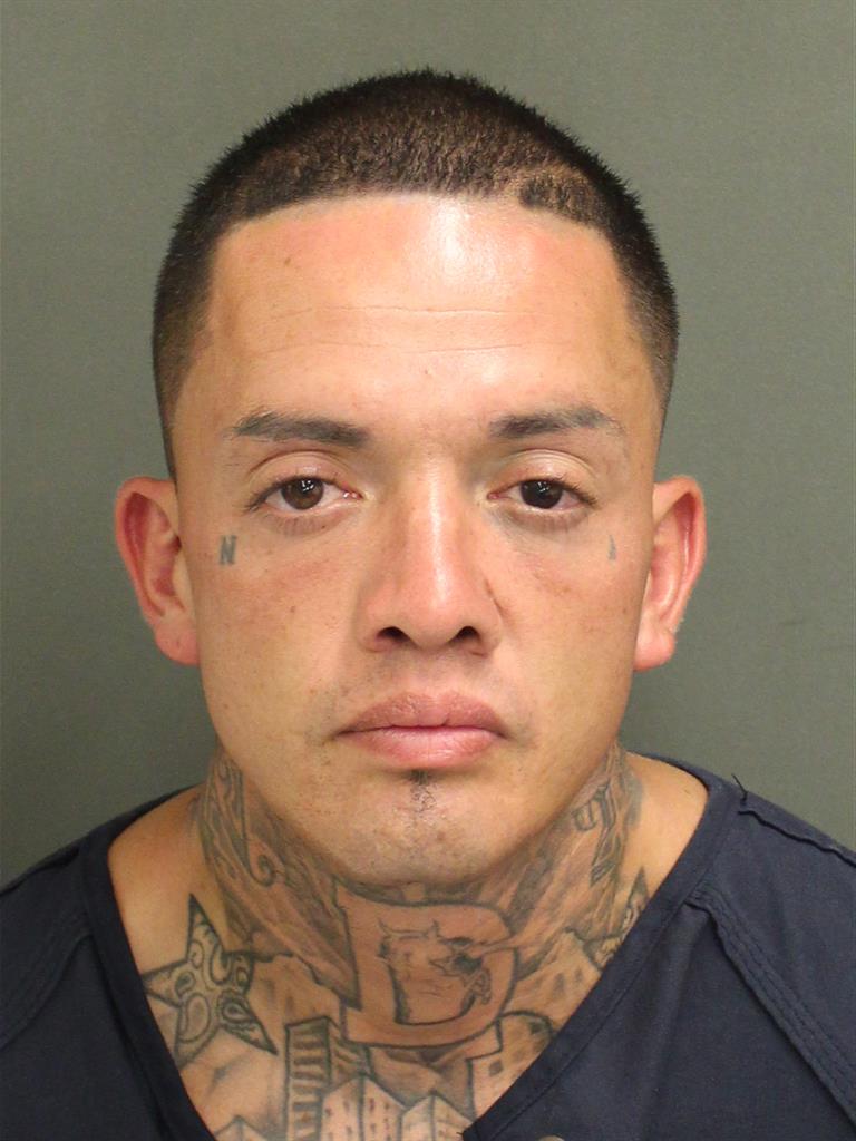  TRENT TAYLOR Photo Image