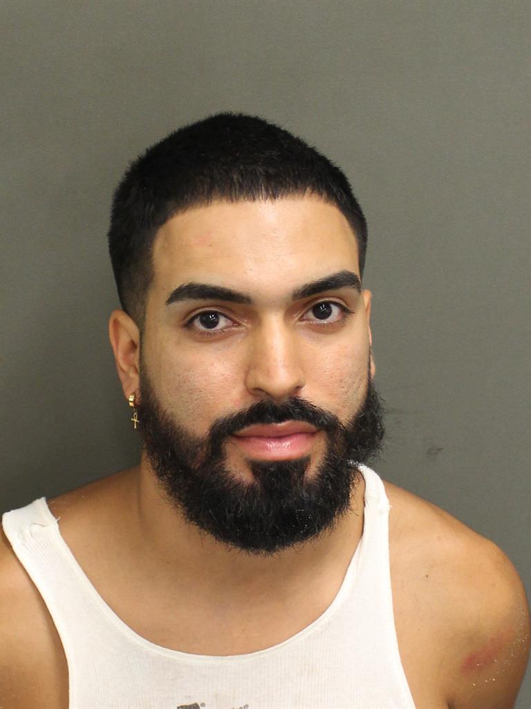  WALTER BOLANOS Mugshot / County Arrests / Orange County Arrests