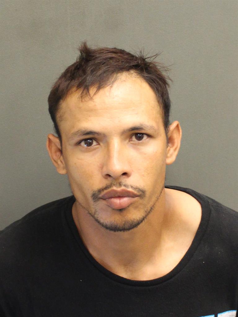  YOHEL S LADINOREYES Mugshot / County Arrests / Orange County Arrests