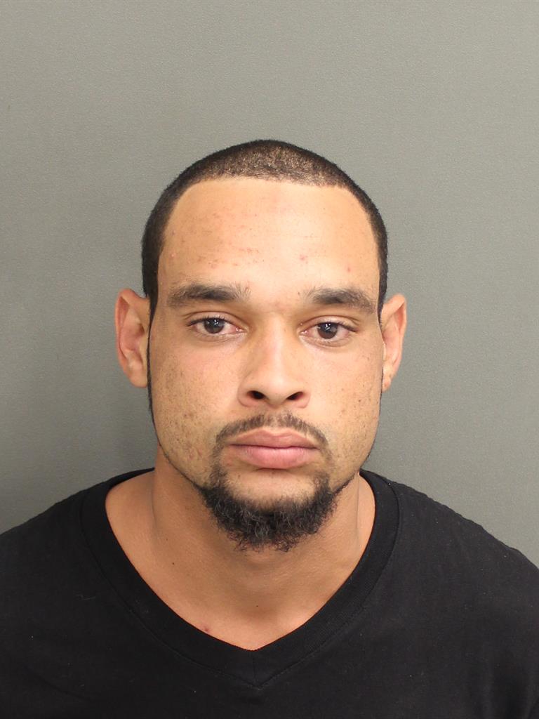  RAY J STYLES Mugshot / County Arrests / Orange County Arrests