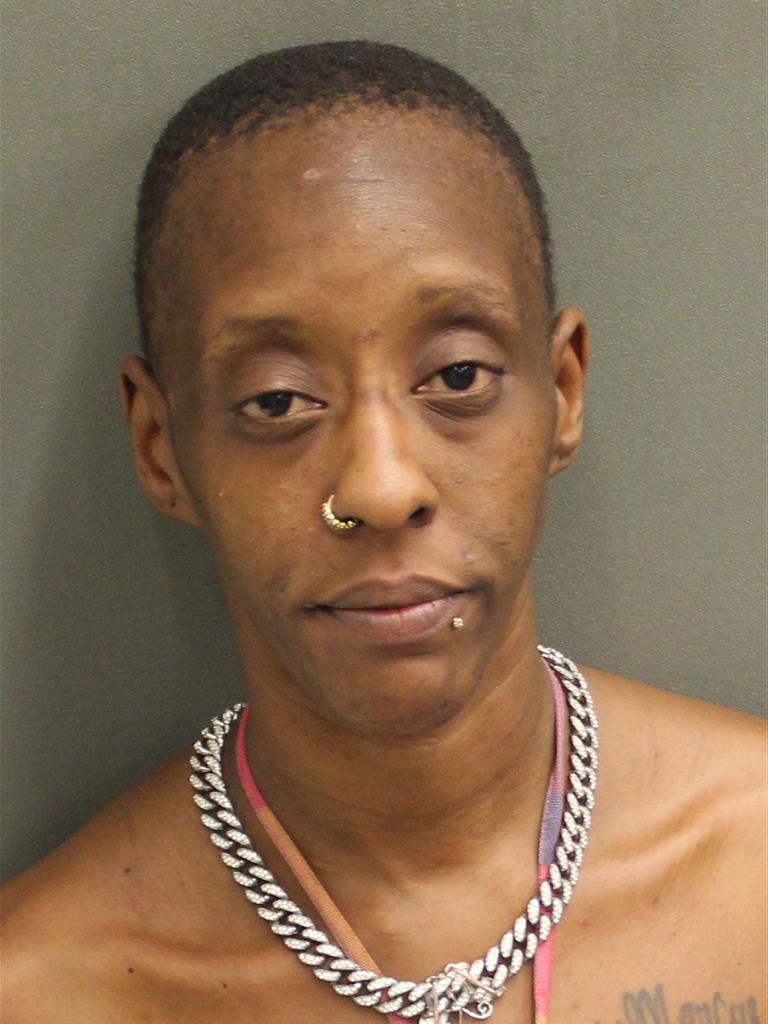 DEJAVONTE SHANEE HUBBARD Mugshot DEJAVONTE SHANEE HUBBARD Mugshot / County Arrests / Orange County Arrests