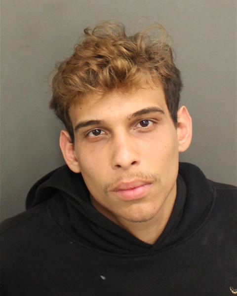  ANGEL WILFREDO LORENZANAGALINDEZ Mugshot / County Arrests / Orange County Arrests