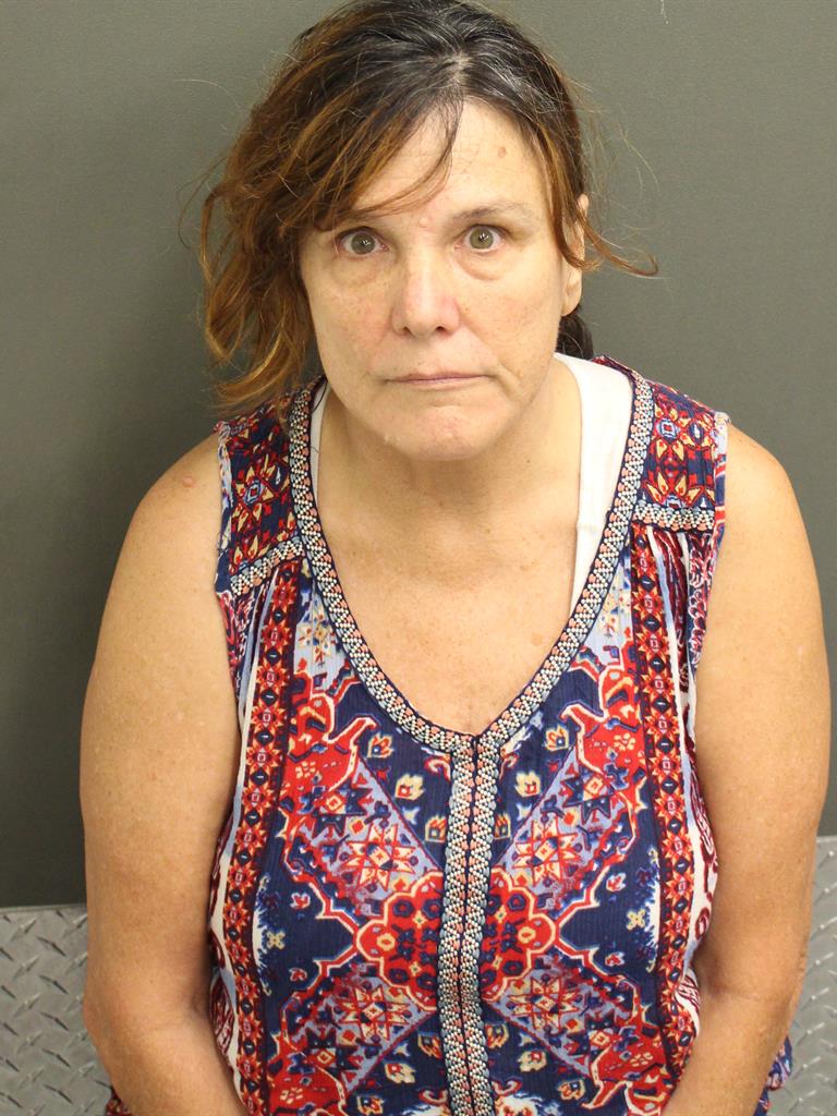  CHRISTINE ANNE PARKER Mugshot / County Arrests / Orange County Arrests