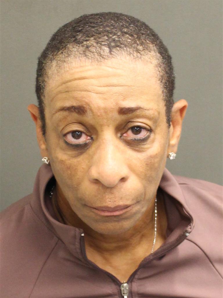  LORIA ANN LONG Mugshot / County Arrests / Orange County Arrests