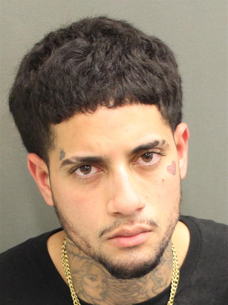  SEBASTIAN LARIOSCASTANO Mugshot / County Arrests / Orange County Arrests