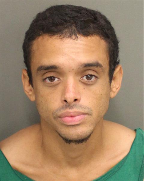  HECTOR WILSON SANTIAGO Mugshot / County Arrests / Orange County Arrests