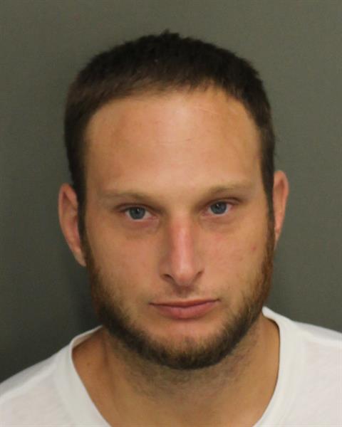  DALTON LEVI MAJORS Mugshot / County Arrests / Orange County Arrests